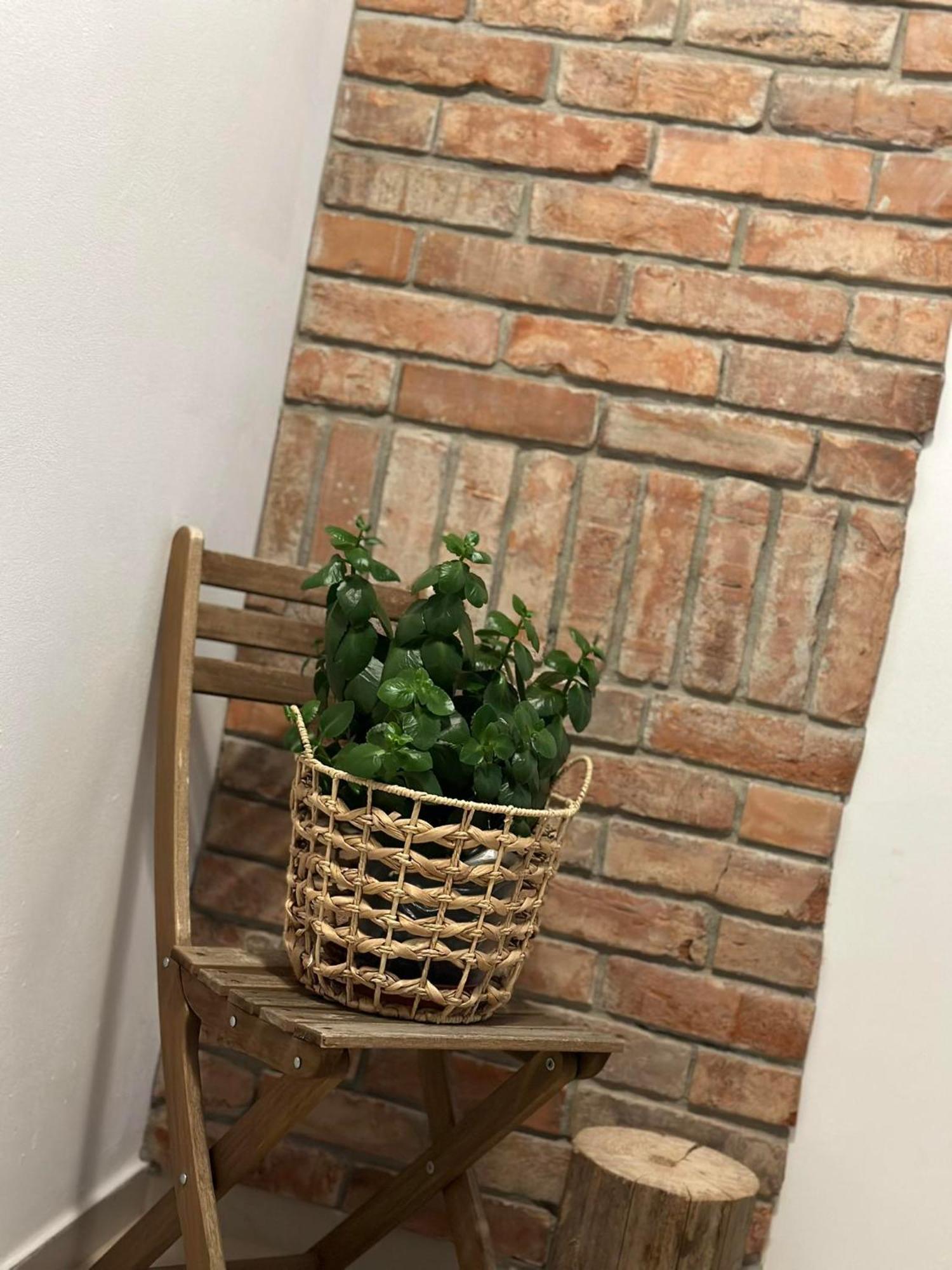 Apartament Fajny Kat Ustrzyki Dolne Exterior foto